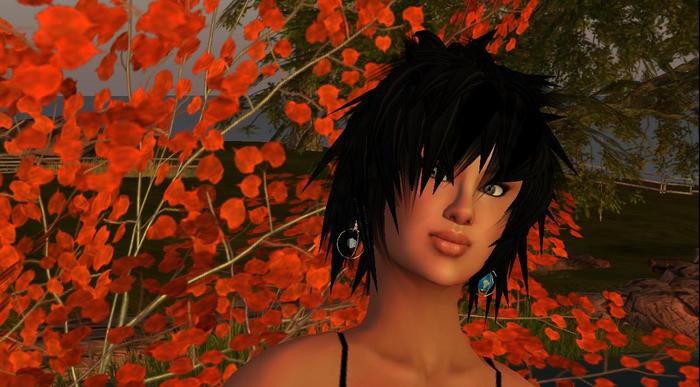 Earth & Moon Earrings