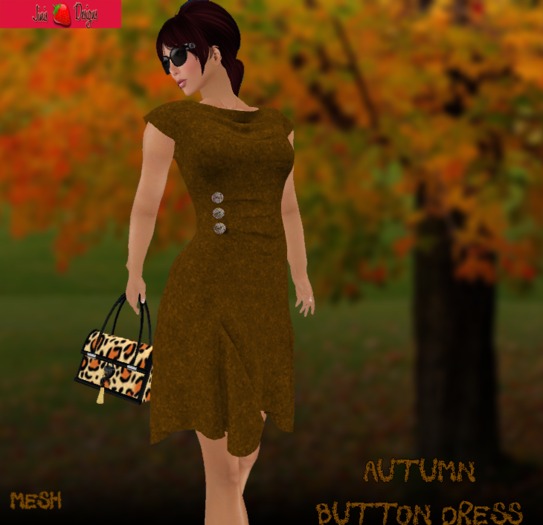 Jinis Designs Autumn Owl Button Dress