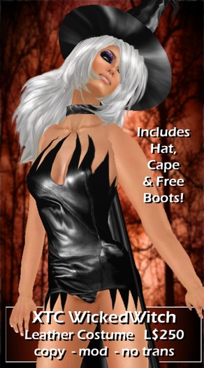 XTC WickedWitch Leather Costume