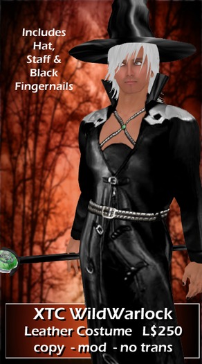 XTC PiratePunk Leather Costume