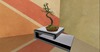 Bonzai2 002