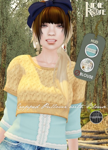 ~*INDIE ROSE*~ MESH Cropped Pullover & Blouses DEMOS