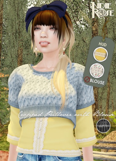 ~*INDIE ROSE*~ MESH Cropped Pullover & Blouses DEMOS