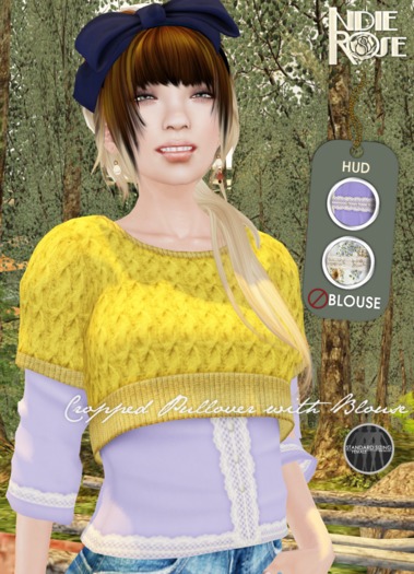 ~*INDIE ROSE*~ MESH Cropped Pullover & Blouses DEMOS