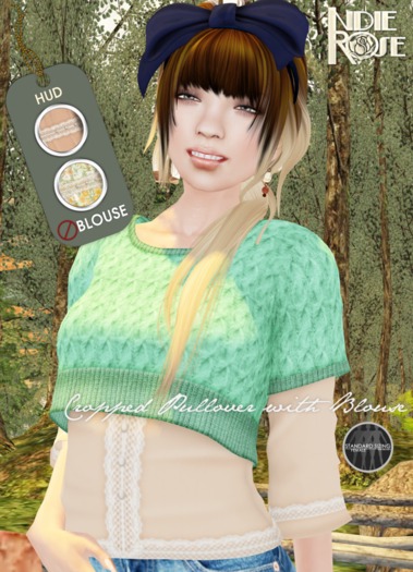~*INDIE ROSE*~ MESH Cropped Pullover & Blouse - Mint 
