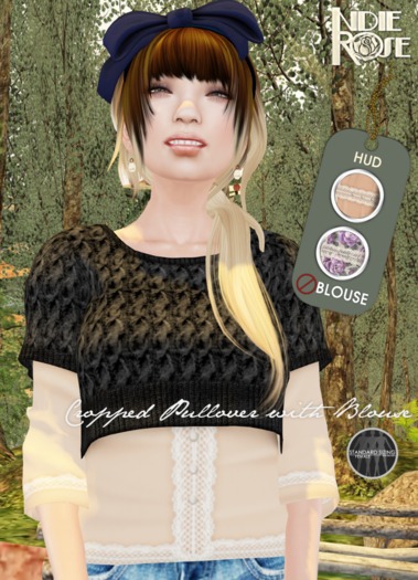 ~*INDIE ROSE*~ MESH Cropped Pullover & Blouses DEMOS