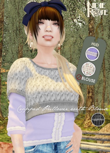 ~*INDIE ROSE*~ MESH Cropped Pullover & Blouses DEMOS