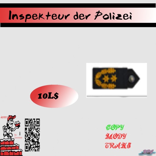 Inspeteur der Polizei