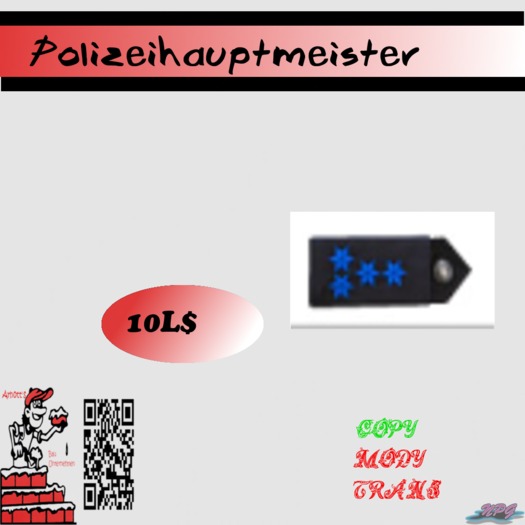 Polizeihauptmeister