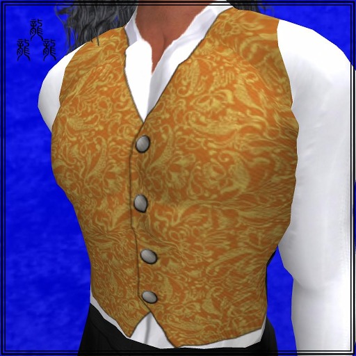 Gold Men's Vest