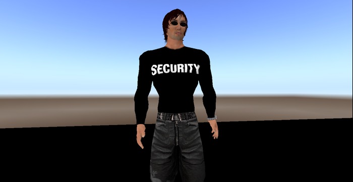 Security Shirt LS