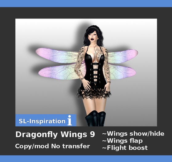 Unisex Dragonfly Wings 9