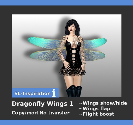 Unisex Dragonfly Wings 1