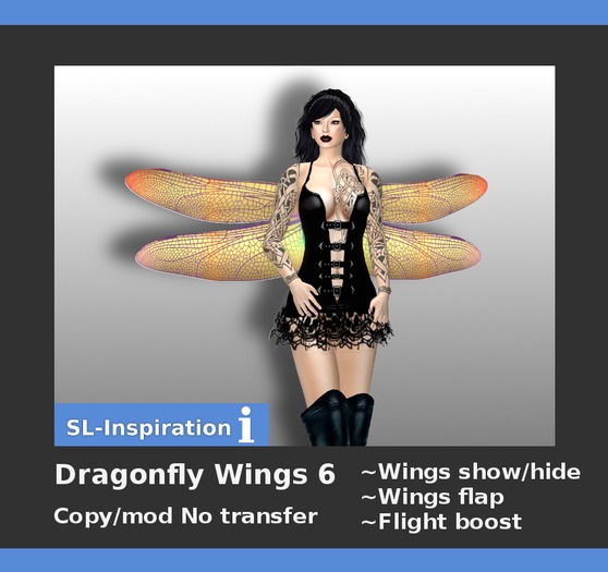 Unisex Dragonfly Wings 6