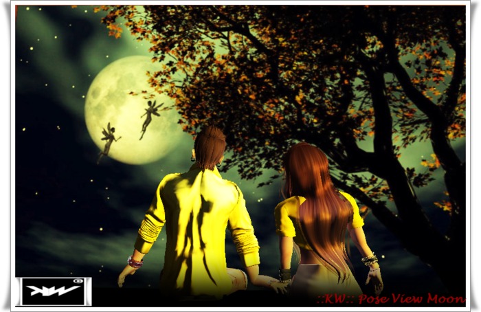 ::KW:: Pose View Moon