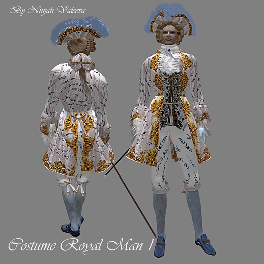 Costume Royal man 1