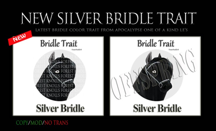 NEW SILVER BRIDLE SIGNS
