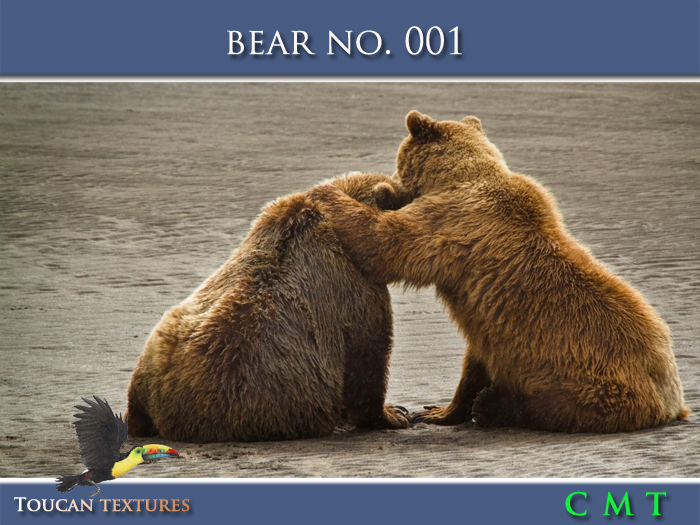 [Toucan Textures] Bear No. 001