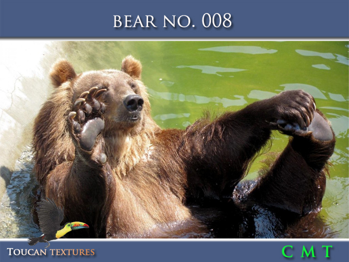 [Toucan Textures] Bear No. 008