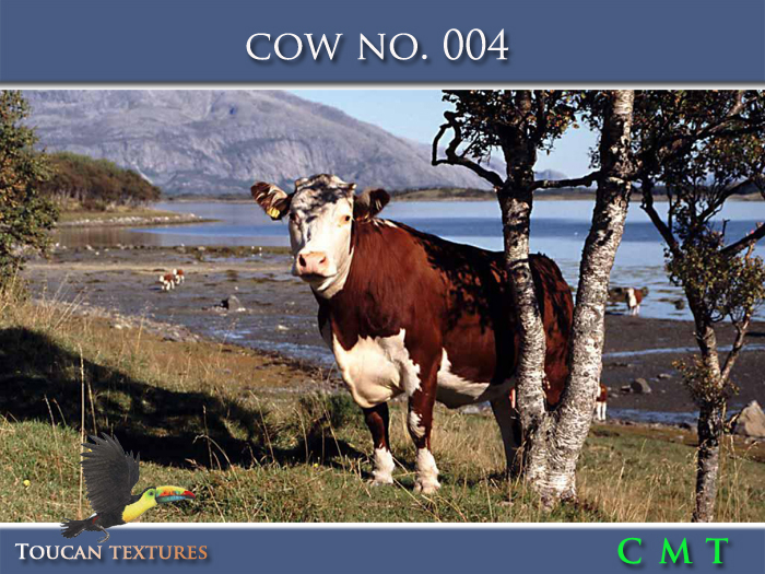 [Toucan Textures] Cow No. 004