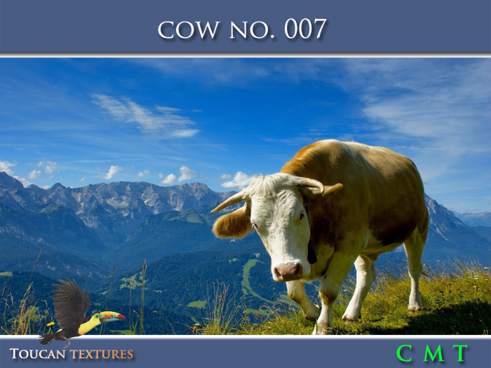 [Toucan Textures] Cow No. 007