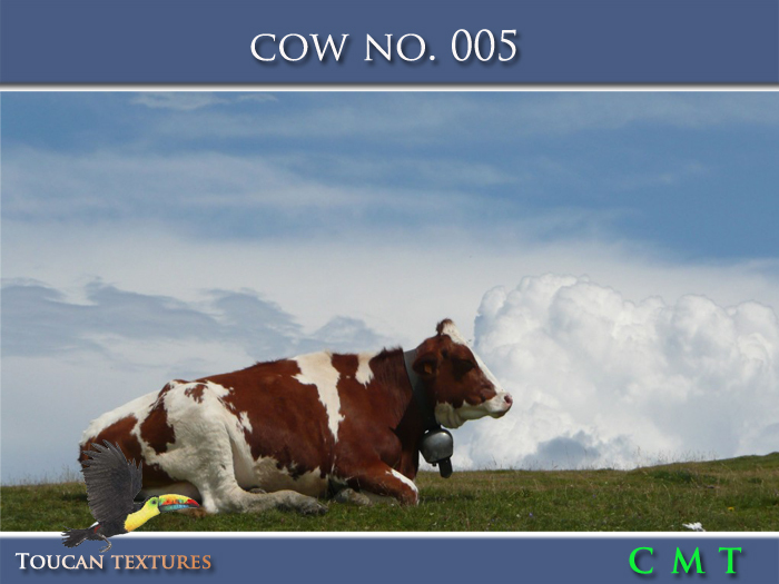 [Toucan Textures] Cow No. 005