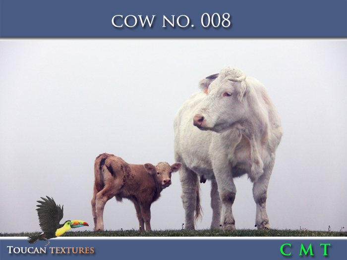 [Toucan Textures] Cow No. 008