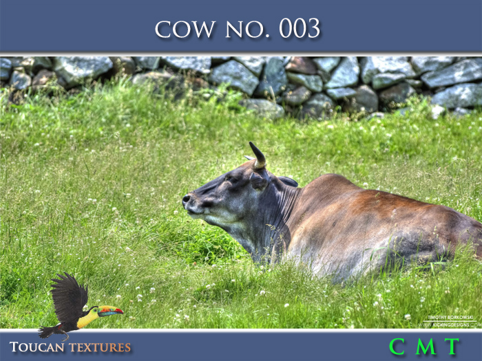 [Toucan Textures] Cow No. 003