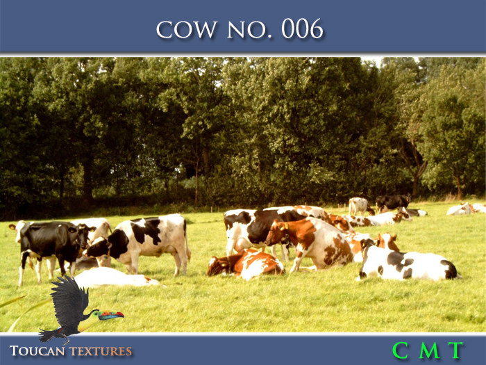 [Toucan Textures] Cow No. 006