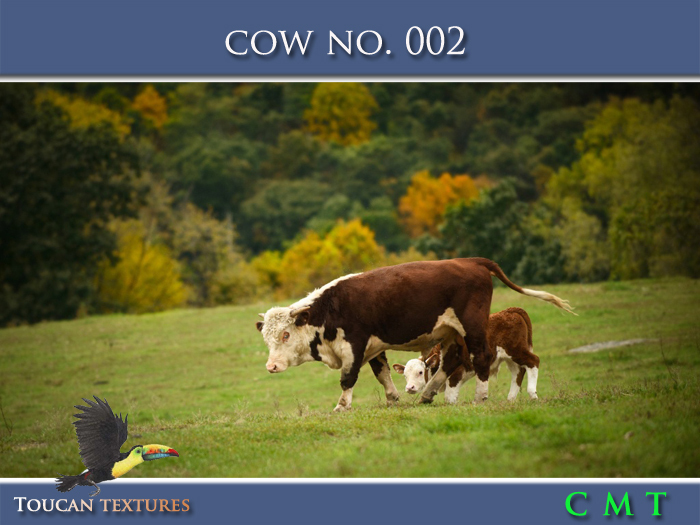 [Toucan Textures] Cow No. 002