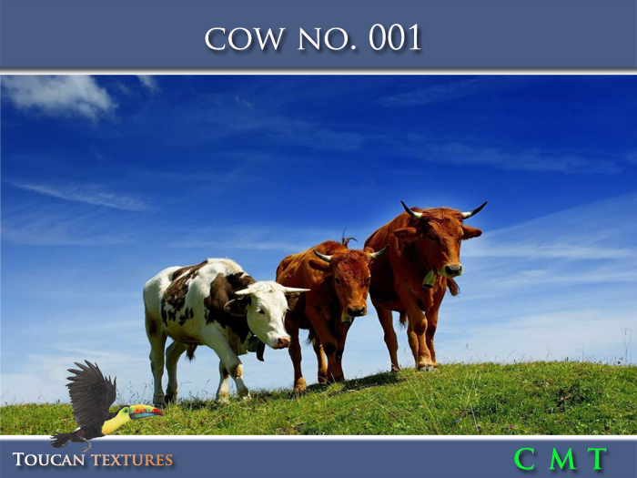 [Toucan Textures] Cow No. 001