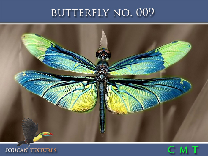 [Toucan Textures] Butterfly No. 009