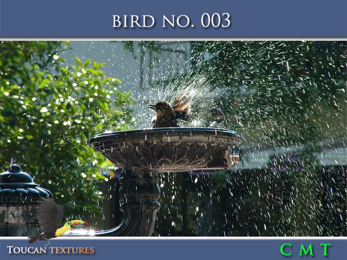[Toucan Textures] Bird No. 003
