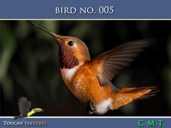[Toucan Textures] Bird No. 005