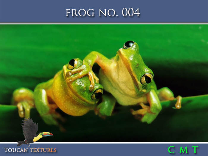 [Toucan Textures] Frog No. 004