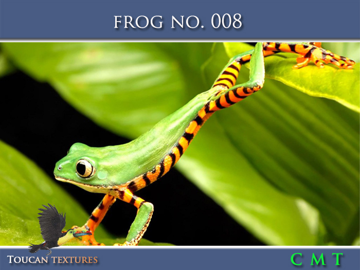 [Toucan Textures] Frog No. 008