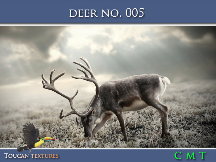 [Toucan Textures] Deer No. 005