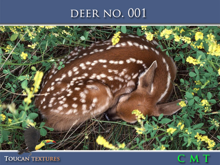 [Toucan Textures] Deer No. 001