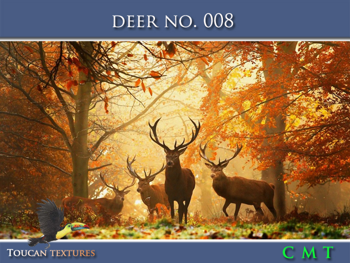 [Toucan Textures] Deer No. 008