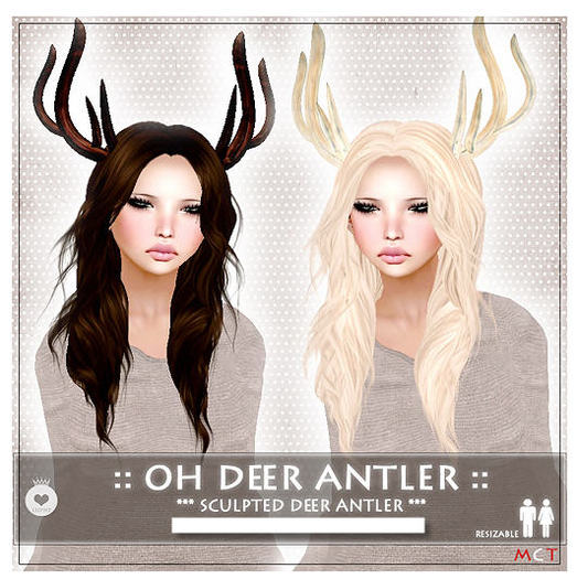 ::LEO-NT:: OH DEER ANTLERS [blank] -rustice-