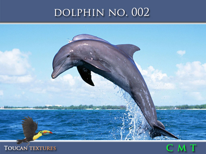 Second Life Marketplace - [Toucan Textures] Dolphin No. 002