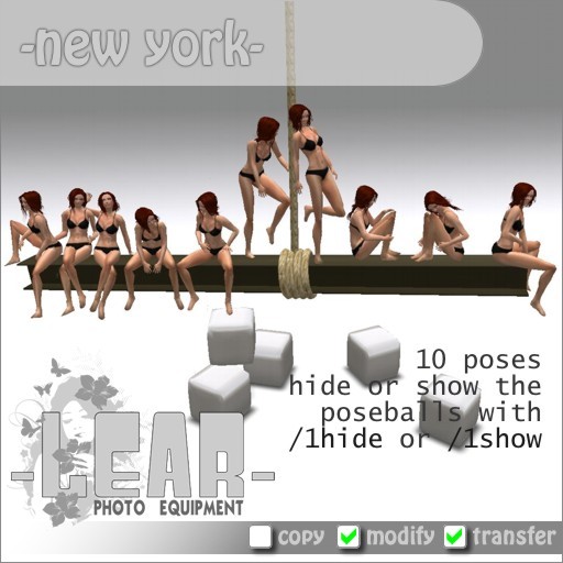 -LEAR- New York PHOTO PROP