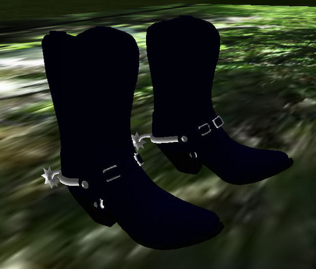 Western Boots Dusty Green