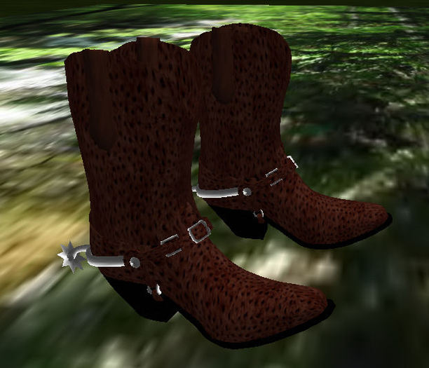 Western Boots Ostrich Drk Brown