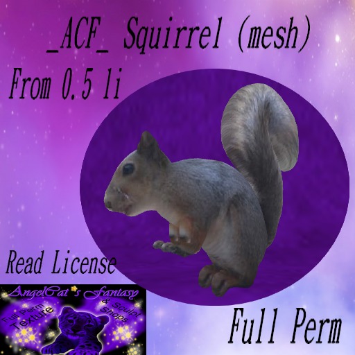 _ACF_ Tino The Squirrel (mesh) fp (Boxed) 0.5 li