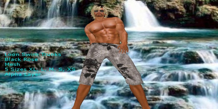 Loon's Swim Trunks Demo