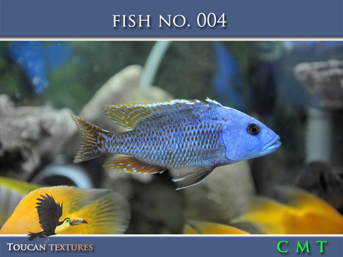 [Toucan Textures] Fish No. 004