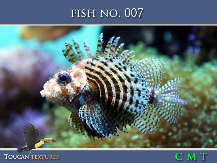 [Toucan Textures] Fish No. 007
