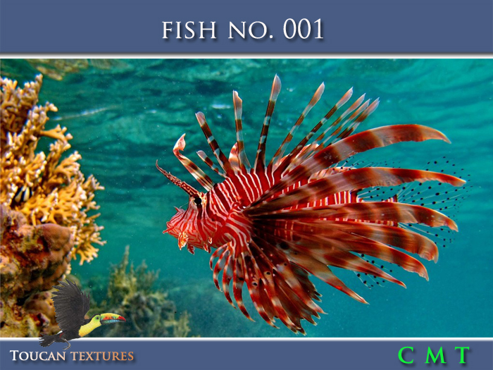 [Toucan Textures] Fish No. 001