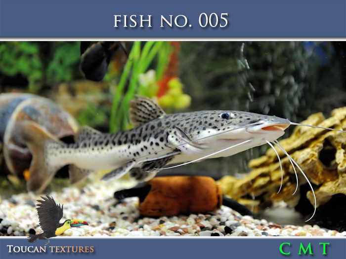 [Toucan Textures] Fish No. 005